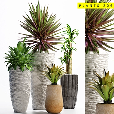 3D Plants Collection - 206 Varieties 3D model image 1 