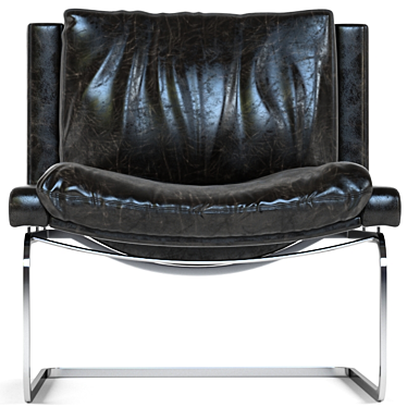 Sleek Ebony Lounge Chair - De Sede 3D model image 1 