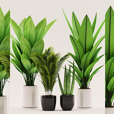 Tropical Plant Collection - 105 Varieties 3D model image 1 