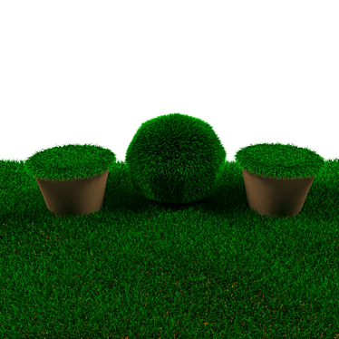 Lush Green Lawn 3D model image 1 