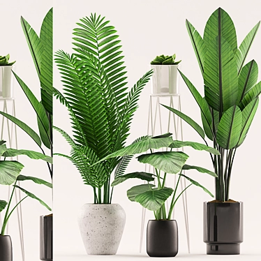 Tropical Plants Set in Ceramic Pot 3D model image 1 