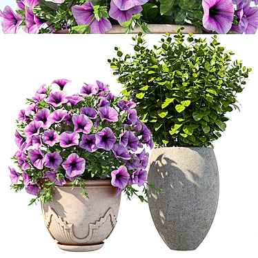 Vibrant Petunia Bushes 3D model image 1 