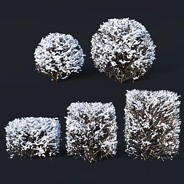 Versatile Winter Cube & Sphere Hedges 3D model image 1 