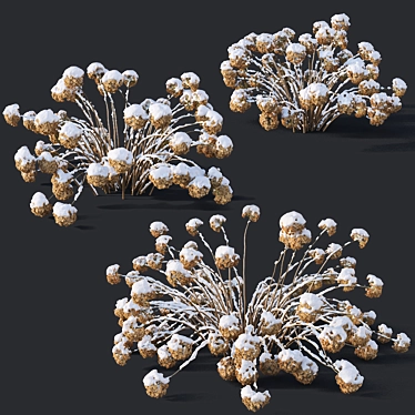 Snow-Covered Hydrangea Trio 3D model image 1 