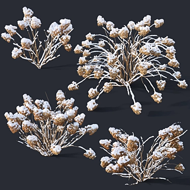 Snow-Covered Hydrangea Collection 3D model image 1 