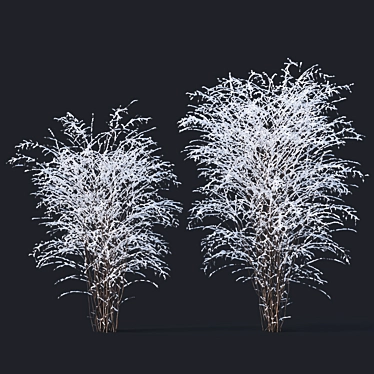 Snow-Covered Philadelphus Coronarius 3D model image 1 