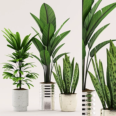 Green Oasis: Succulents, Palms & More 3D model image 1 