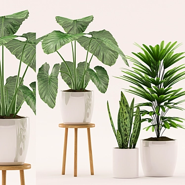 111 Palms in Ceramic Pot 3D model image 1 
