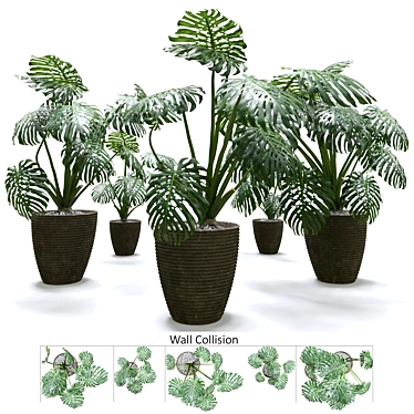 Tropical Thriving Monstera Set 3D model image 1 