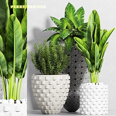 Stylish Plant Set - 3 Pieces 3D model image 1 