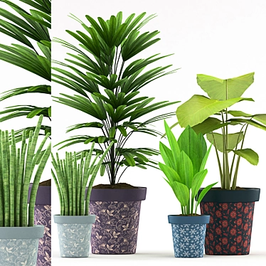 Tropical Plant Collection: Colocasia, Succulents, Palm & Aspidistra 3D model image 1 