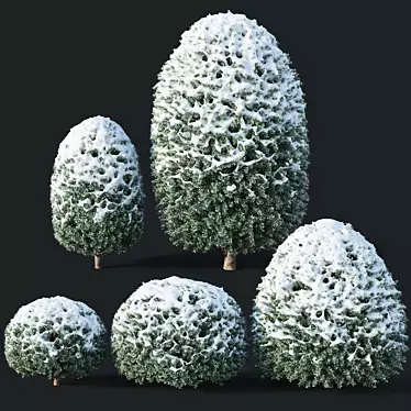 Snowy Yew Topiary Collection 3D model image 1 