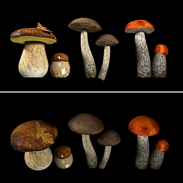 Mushroom Collection: 4 Varieties 3D model image 1 