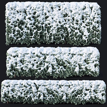 Snowy Yew Hedges: 80,120 cm 3D model image 1 
