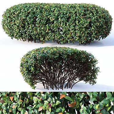 Versatile Cotoneaster Hedge: Seamless & Customizable 3D model image 1 