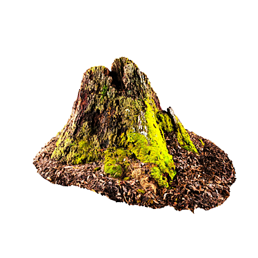 Natural Wood Stumps for Decor 3D model image 1 