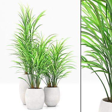 Natural Oasis Bamboo Palm Set 3D model image 1 