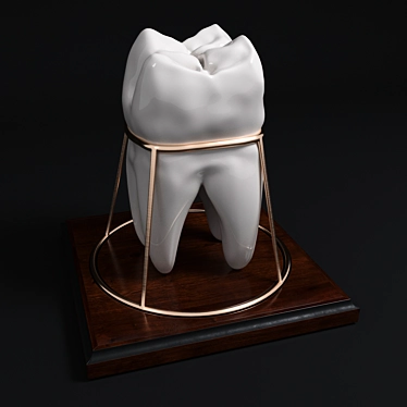 Dental Keepsake: Handcrafted Tooth Souvenir 3D model image 1 