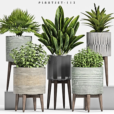 Decorative Plant Set 3D model image 1 