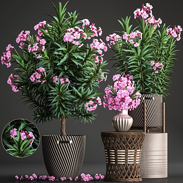 Title: Exotic Plant Collection: Oleander & Rattan Furniture 3D model image 1 