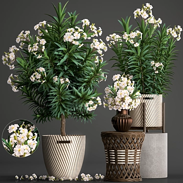 Exotic Plant Collection: Nerium Oleander 3D model image 1 