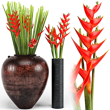 Exotic Tropical Floor Plants 3D model image 1 