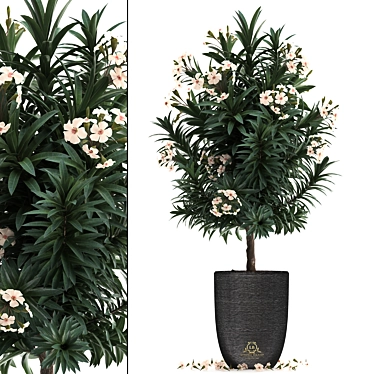 Exotic Nerium Oleander Tree - Plant Collection 271 3D model image 1 