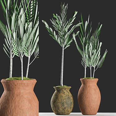 Olive Plants with Clay Pot 3D model image 1 