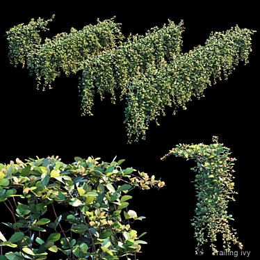 2-Piece Trailing Ivy Set 3D model image 1 