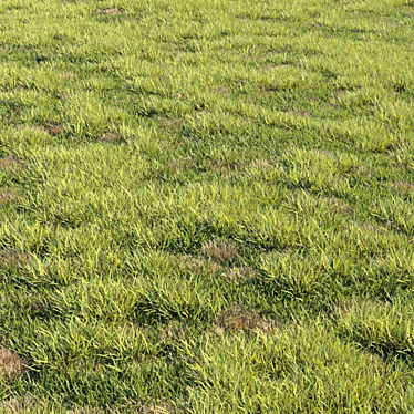 Greenify your space with Grass Kit 2! 3D model image 1 