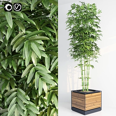 Realistic Plant Model for V-Ray & Corona (FBX) 3D model image 1 