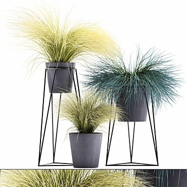 Exotic Tussock Grass Collection 3D model image 1 