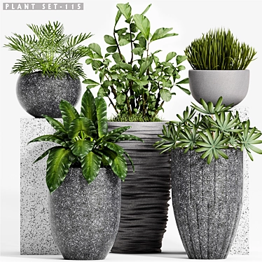 Decorative Plant Set: Enhance Your Space 3D model image 1 