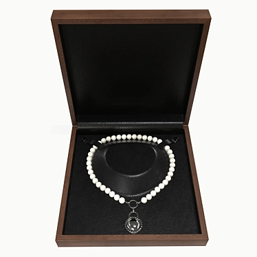 Elegant Jewel Box with Necklace 3D model image 1 