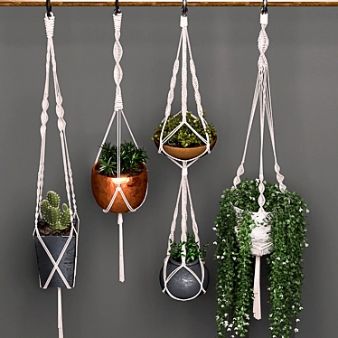 Stylish Hanging Pot Set 3D model image 1 