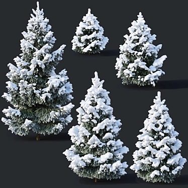  Snowy Fir Trees - 6 Sizes 3D model image 1 