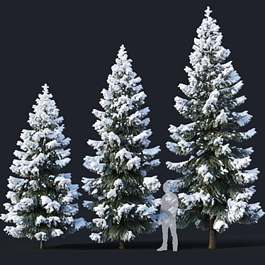 Snow-Covered Fir Tree Collection 3D model image 1 