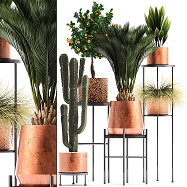 Copper Pot Plant Collection 3D model image 1 