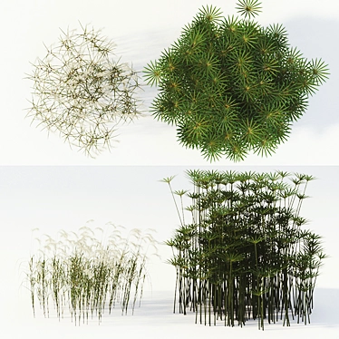 Versatile Outdoor Plant Set 3D model image 1 