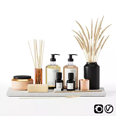 Elegant Bathroom Set: Frama Bodywash, Lotion, Soap 3D model image 1 