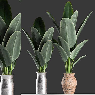 Tropical Bliss: Banana Palm Planter Set 3D model image 1 