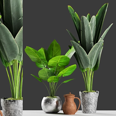 Tropical Banana Palm Plant with Vintage Pot 3D model image 1 