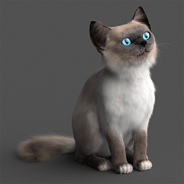 Adorable Young Cat Model 3D model image 1 