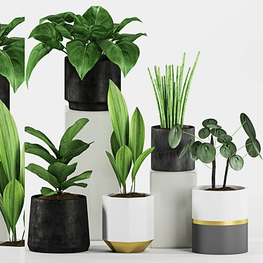 Botanical Bliss: Assorted Plants 130 3D model image 1 