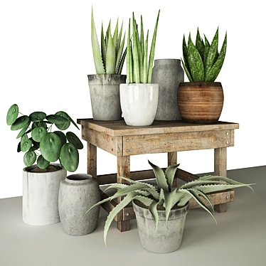 Variety of Plants with Unique Pots 3D model image 1 