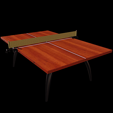 Solid Wood Tennis Table 3D model image 1 