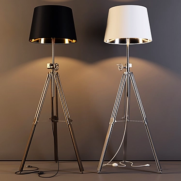 Zuma Line Seville Black & White Floor Lamp 3D model image 1 