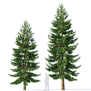 Verdant Spruce - 8,10m Modular Branches 3D model image 1 