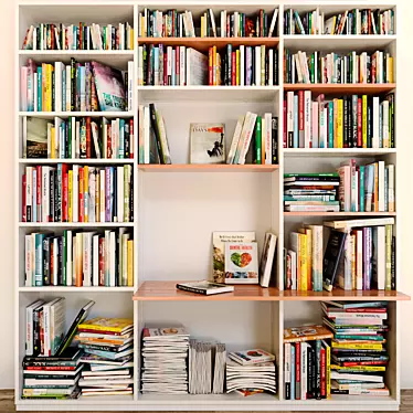 Library. Shelf with books, magazine, cabinet