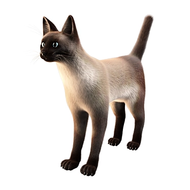 Title: Poseable Siamese Cat Model 3D model image 1 